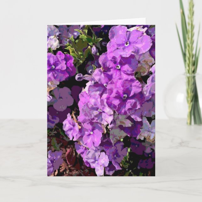 Brunfelsia Kort (Framsida)