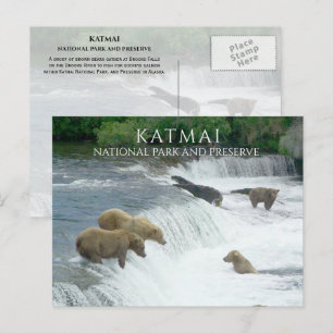 Brunfläckiga Björnar Fiskar Brooks Falls Katmai NP Vykort