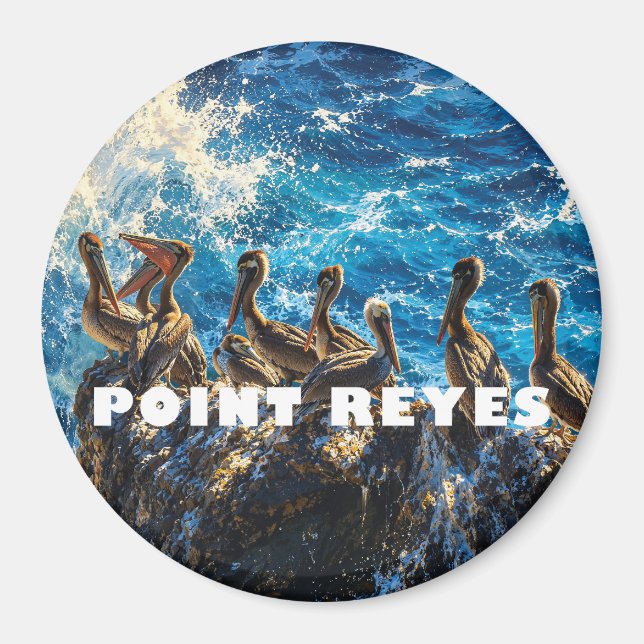 Brunfloder på Point Reyes, Kalifornien Magnet (Framsidan)