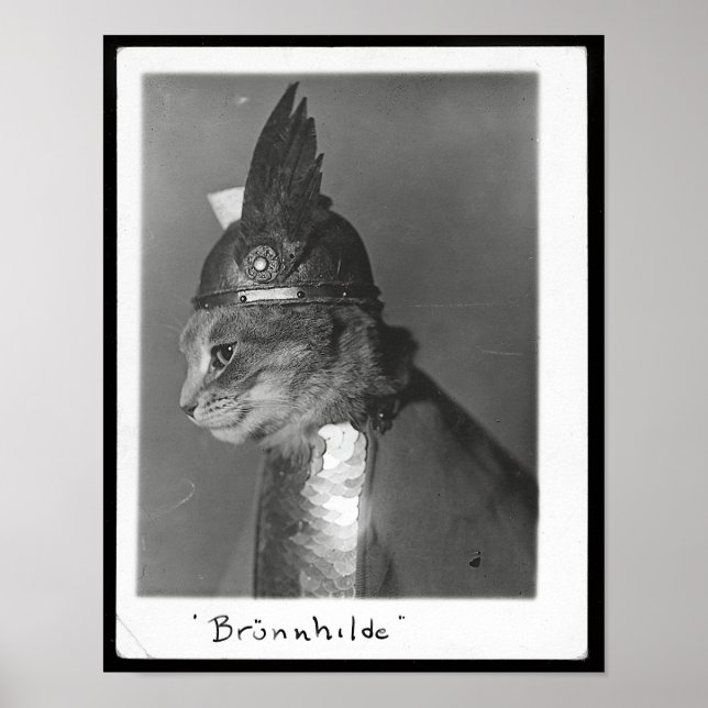 Brunhild Brunhilda Brynhild Brünhilde Cat Poster (Framsidan)
