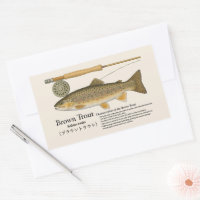 Bruning (Salmo trutta) – engelsk illustration