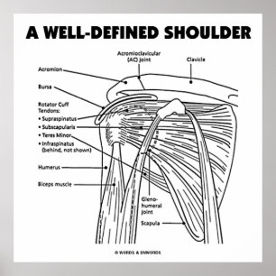 Brunn-Definierad knuffar (den Anatomical humorn) Poster