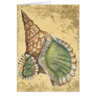 Brunn och Grönt Seashell Hälsningskort