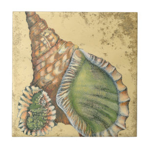Brunn och Grönt Seashell Kakelplatta