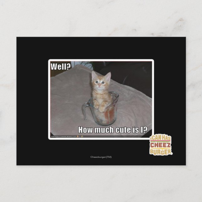 Brunn? Vykort (Framsida)