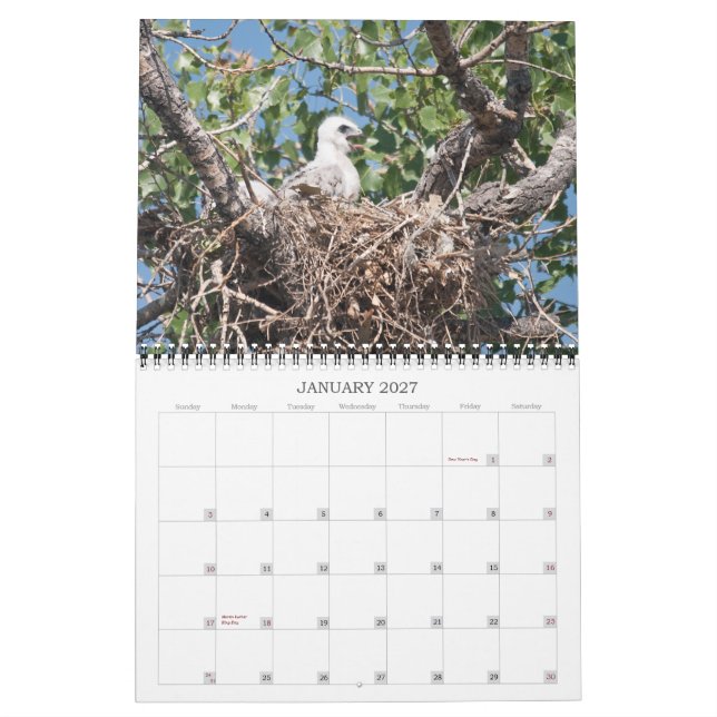 Brunnar 2011 kalender (Jan 2027)
