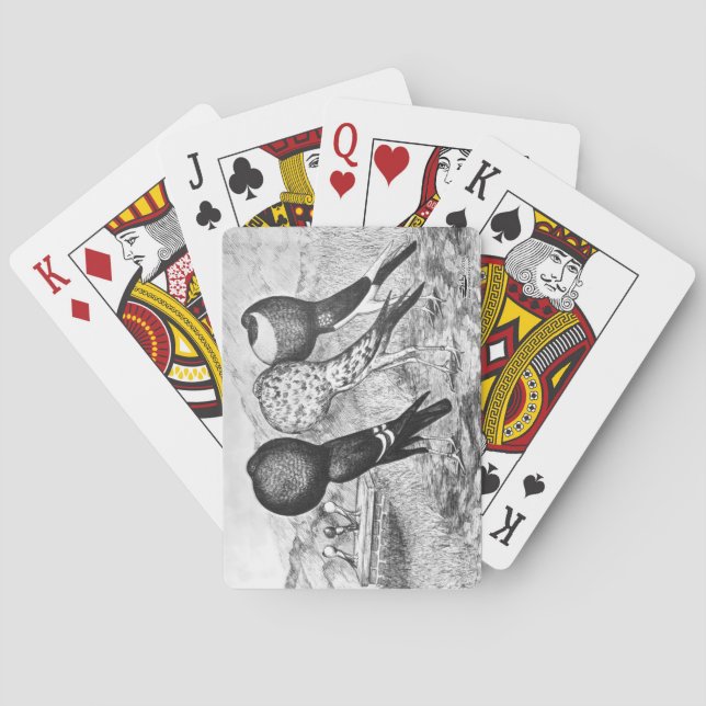 Brunner Pouterduvor Kortlek (Baksidan)