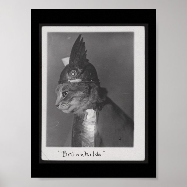 Brunnhilde kitty poster (Framsidan)