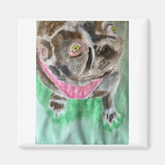 Bruno, bulldog magnet