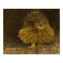 Bruno Liljefors Eagle uggla CC0294 Wildlife