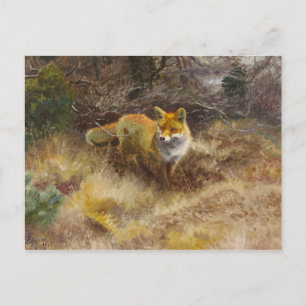 Bruno Liljefors - Fox och Liggande Vykort