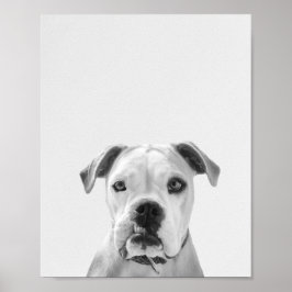 Bruno the American Bulldog Poster