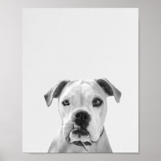 Bruno the American Bulldog Poster