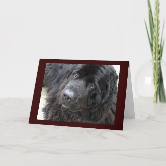 brunögd krago kort (Framsida)