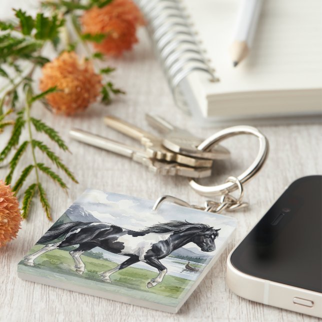 Brunskjottur Black pinto Icelandic (Högra Framsidan)