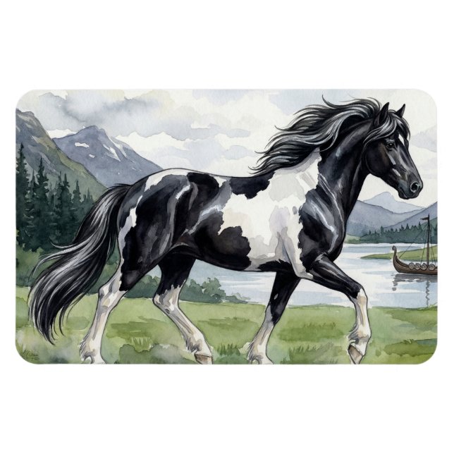 Brunskjottur Svart pinto Isländsk Magnet (Horisontell)