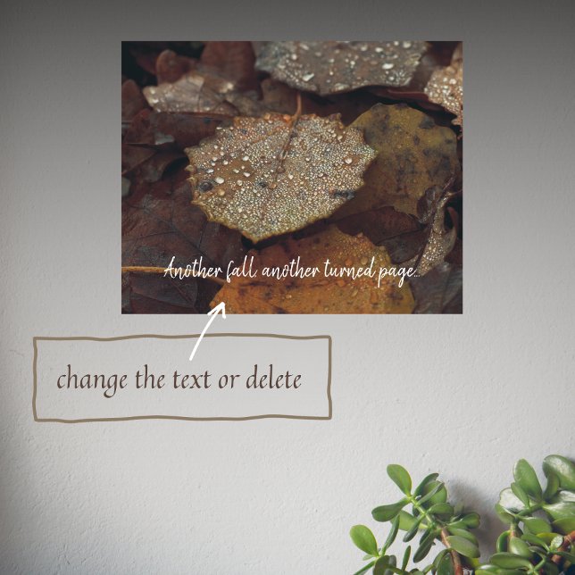 Brunt fallit löv efter regn poster (Skapare uppladdad)