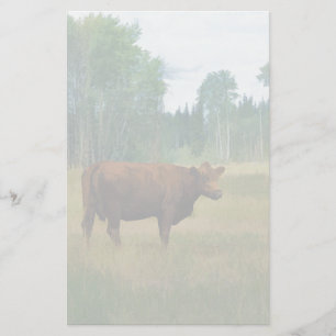 Brunt kummel på en ranch för häst och nötkreatur brevpapper