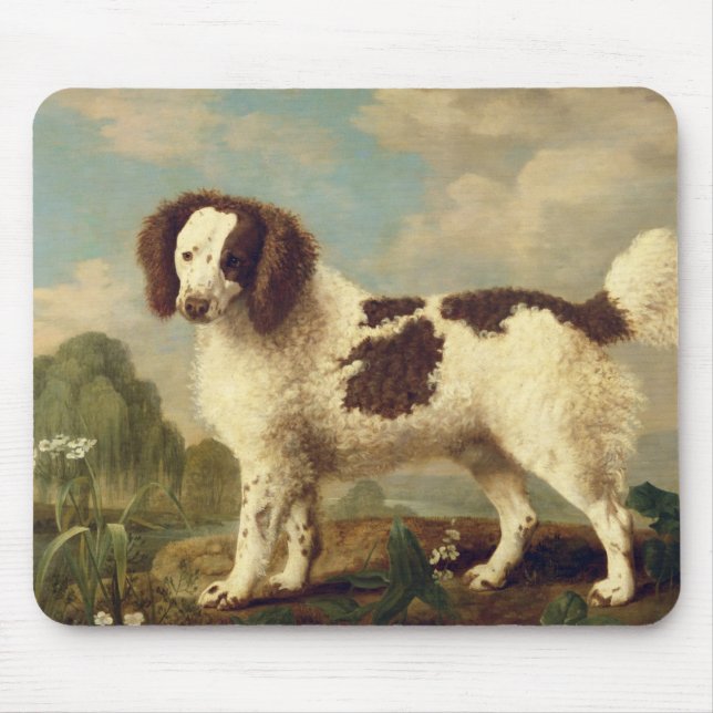 Brunt och vit Norfolk eller vattenSpaniel, 1778 Musmatta (Framsidan)