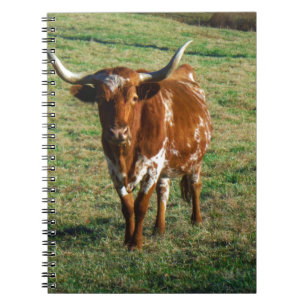 Brunt- och vitLonghorntjur Anteckningsbok