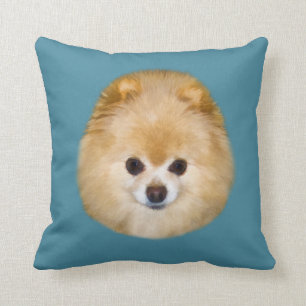 Brunt- och vitPomeranian hund Kudde