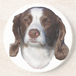 Brunt och vitt Hund sandstone underlägg