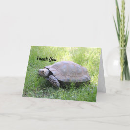 Brunt Tortoise, tack för ditt kort