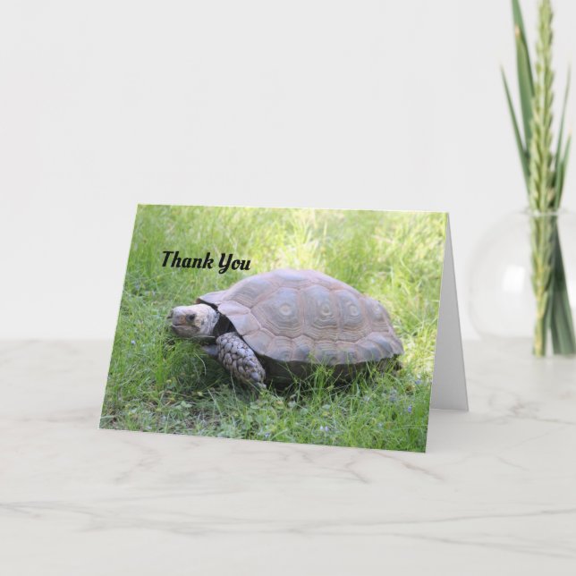 Brunt Tortoise, tack för ditt kort (Framsida)