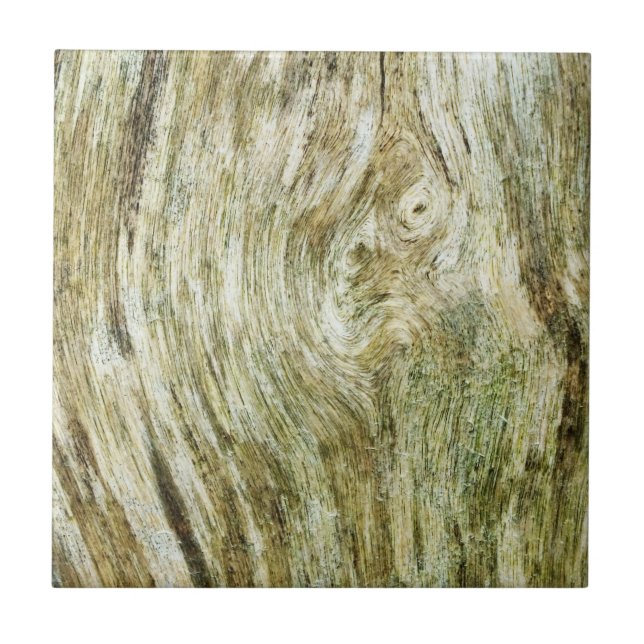 Brunt, trä, mörk, struktur, trä, skivor, golv. kakelplatta (Framsidan)