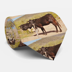 Bruntkor i kromTie Slips