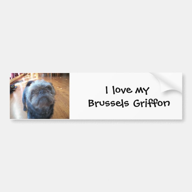 Brussel Griffon Bildekal (Framsidan)