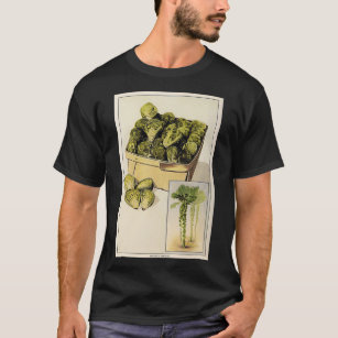 Brussel Sprouts Illustration-kontrollmärke  T Shirt