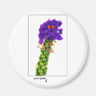 brussell_ansikte magnet