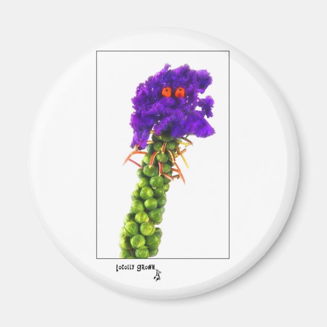 brussell_ansikte magnet (Framsidan)