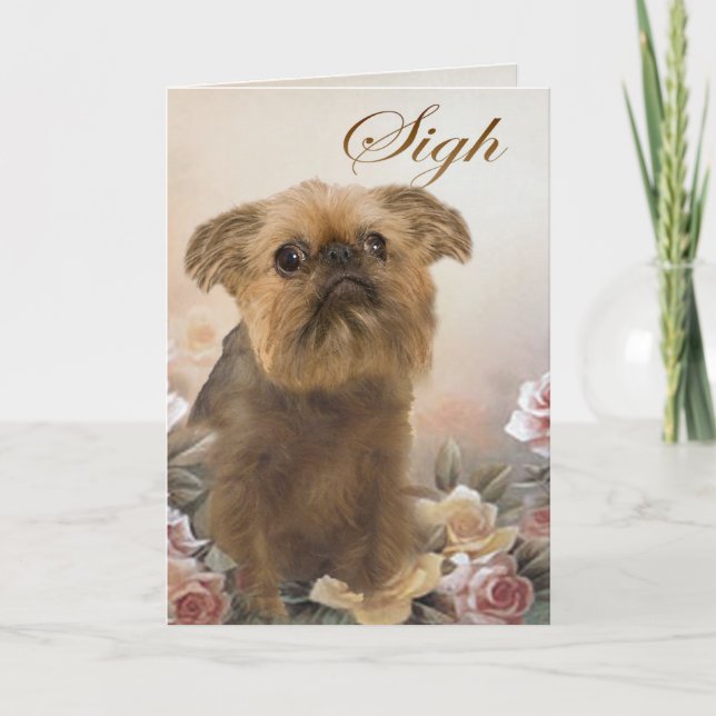 Brussell Griffon saknade dina kort (Framsida)