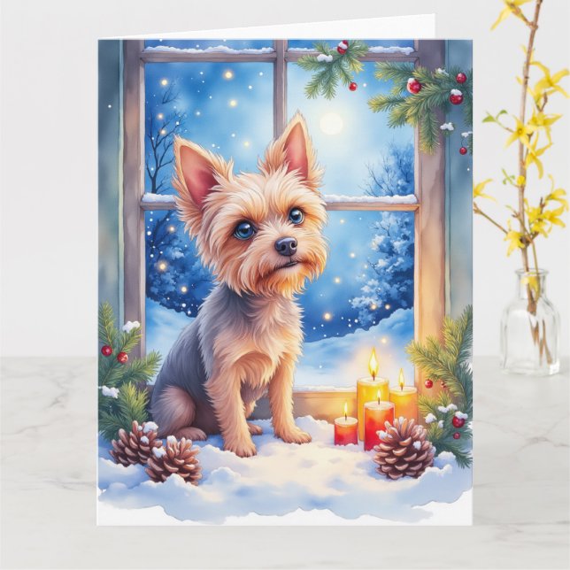 Brussels Griffon Frostad Fönster Julkonst Kort (Gul blomma)