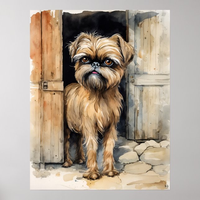 Brussels Griffon - Hund Art Print Poster (Framsidan)