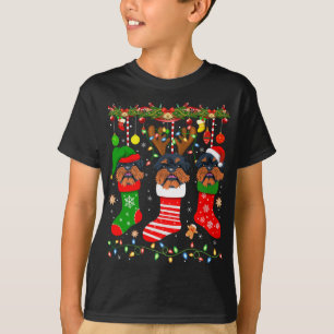 Brussels Griffon Hund in jul Socks Ljus Xma T Shirt