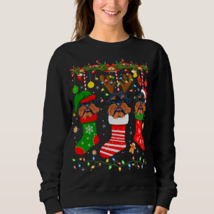 Brussels Griffon Hund in jul Socks Ljus Xma T Shirt