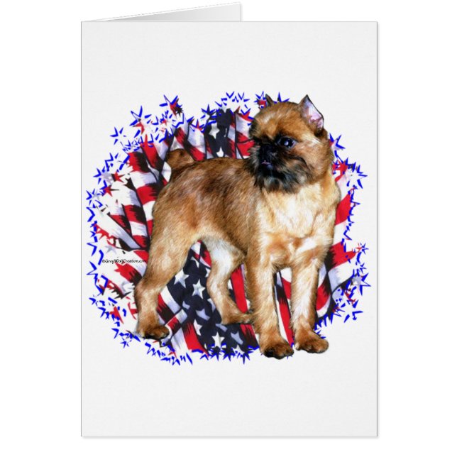 Brussels Griffon Patriot Hälsningskort (Framsidan)