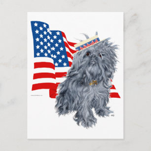 Brussels Griffon Patriotisk Vykort