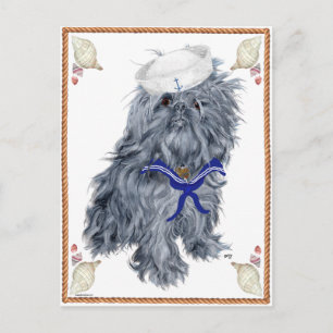 Brussels Griffon Sjöman Vykort