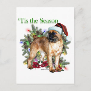Brussels Griffon Tis säsongen Vykort