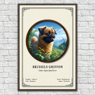 Brussels Griffon Zoologisk Serie Poster