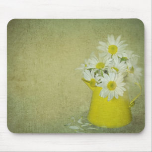 Bruten Daisy Musmatta