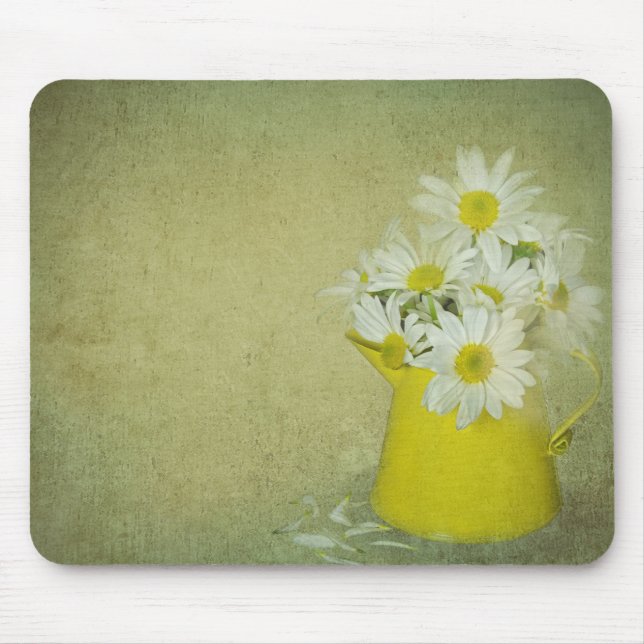 Bruten Daisy Musmatta (Framsidan)