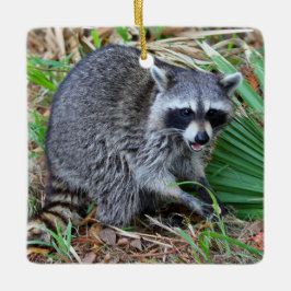 Bry mig inte, jag är bara på genomresa julgransprydnad keramik