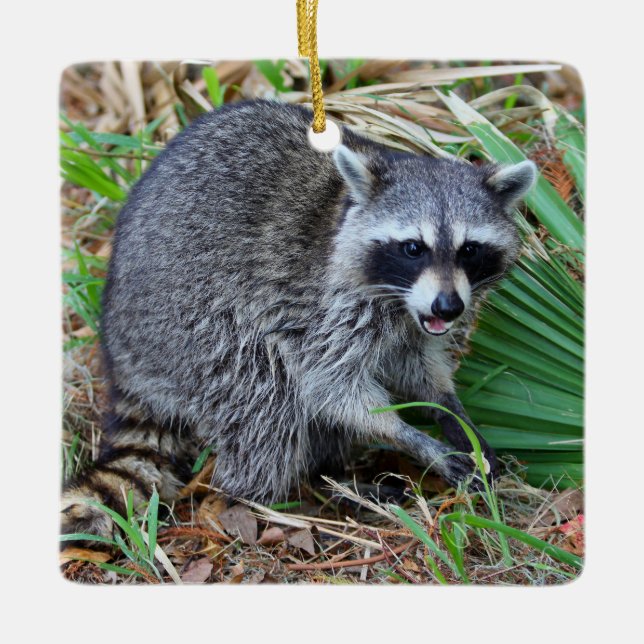 Bry mig inte, jag är bara på genomresa julgransprydnad keramik (Framsida)