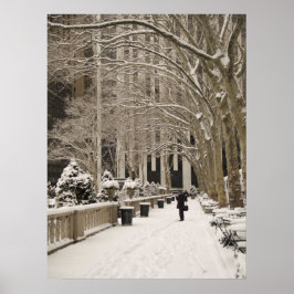 Bryant Park Snö Poster