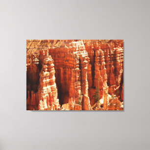 Bryce Canyon Canvastryck